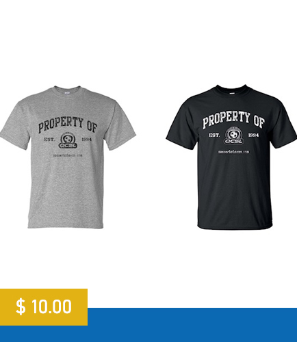 >property of t-shirt